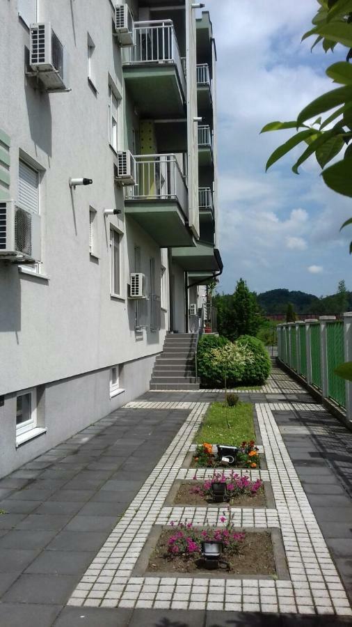 Apartmani - Vila Kovilje Banja Koviljaca Exterior photo